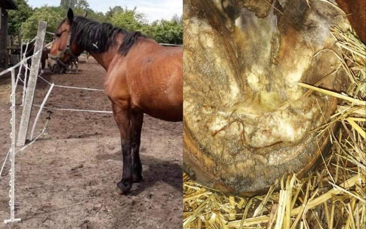 Zbiórka Pomóż mi wyzdrowieć chce żyć - zdjęcie główne