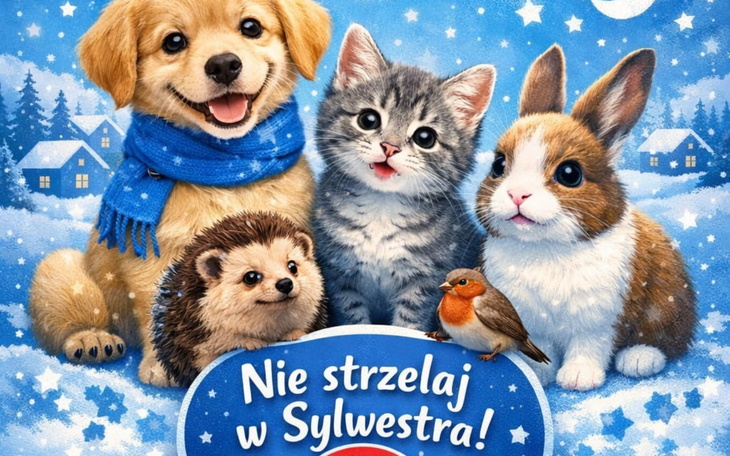 Ilustracja z uśmiechniętymi zwierzętami w zimowej scenerii.