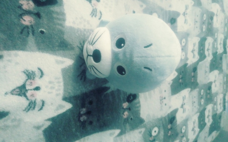 Zbiórka Na maly dom - zdjęcie główne