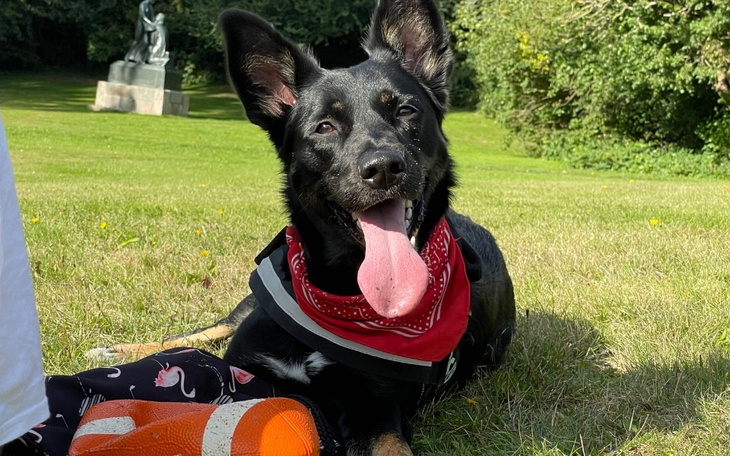 Zbiórka Rezonans dla Merci - zdjęcie główne