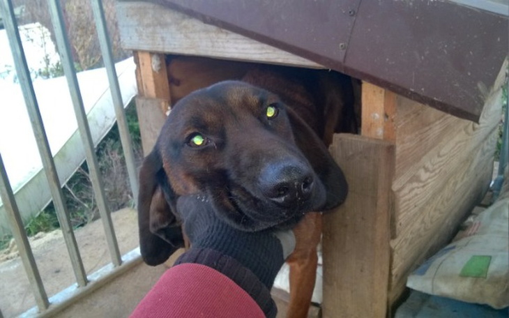 Zbiórka Portos wywalony z auta jak śmieć - zdjęcie główne