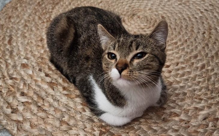 Zbiórka Operacja miednicy Kukiego - zdjęcie główne