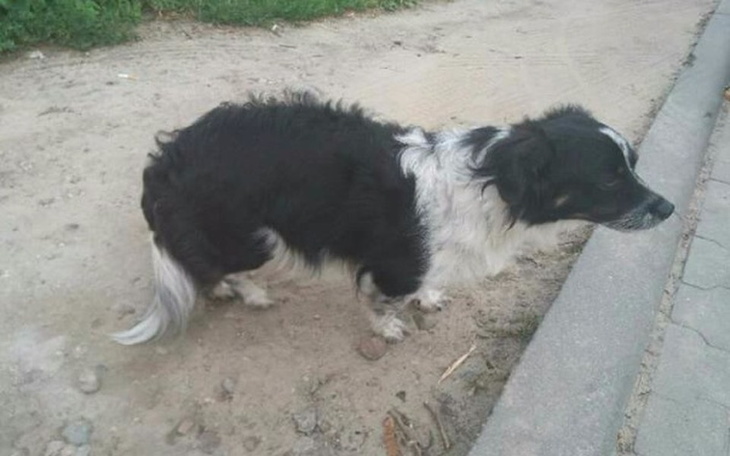 Zbiórka Zbyteczny przedmiot 😥 - zdjęcie główne