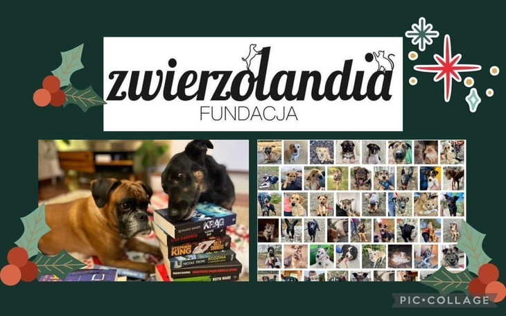 Zbiórka Oczytana Zwierzolandia 2024 - zdjęcie główne