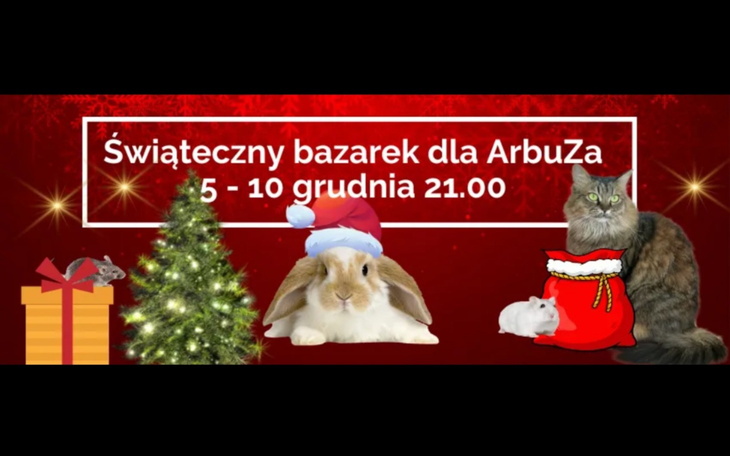 Świąteczny bazarek dla ArbUZa z królikami i kotem, 5-10 grudnia o 21:00.