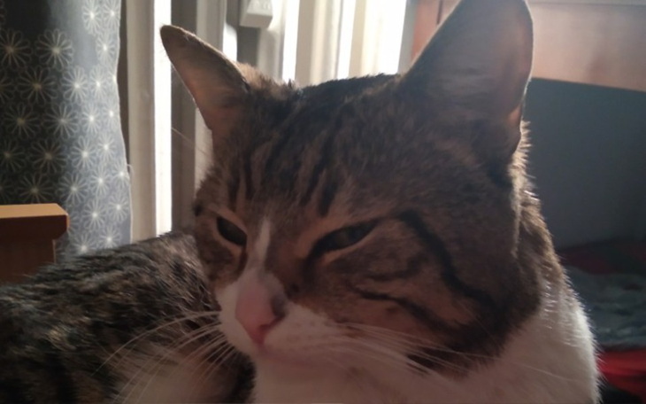 Zbiórka Zbiórka na Kolesia - zdjęcie główne