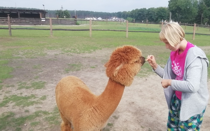 Zbiórka Mała chatka dla puchatka - zdjęcie główne