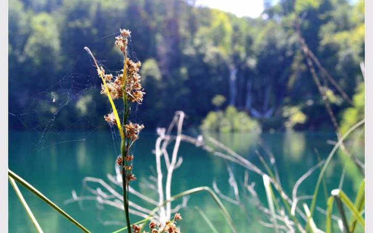 Zbiórka Rozwijanie swojej pasji - zdjęcie główne