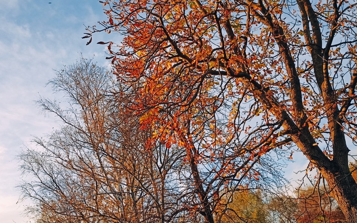 Zbiórka Mąż stracił pracę - zdjęcie główne