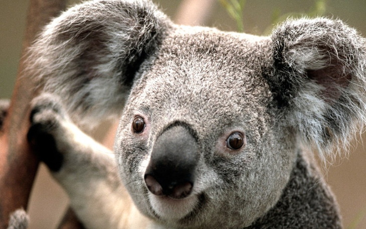 Zbiórka Na konto steam! - zdjęcie główne