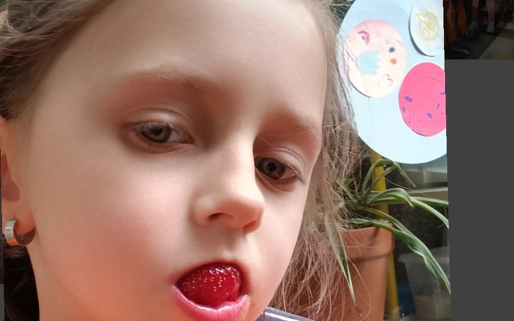 Zbiórka Wymarzone urodziny siostrzyczki - zdjęcie główne