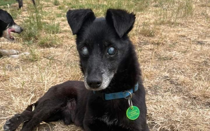 Zbiórka Na codzienne życie Kosmusiów - zdjęcie główne