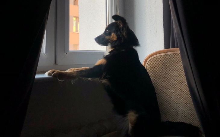 Zbiórka Zakup pierwszego mieszkania - zdjęcie główne