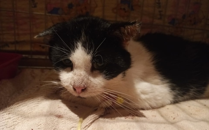 Zbiórka Dajmy Dziadziowi szansę na życie - zdjęcie główne