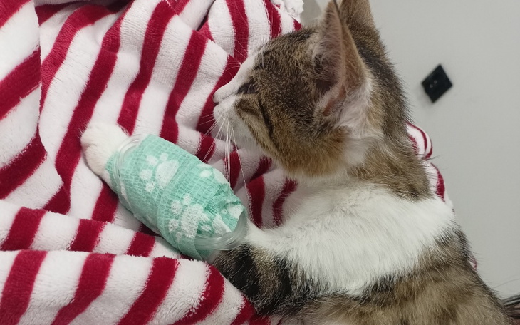 Zbiórka One kochają bezwarunkowo - zdjęcie główne