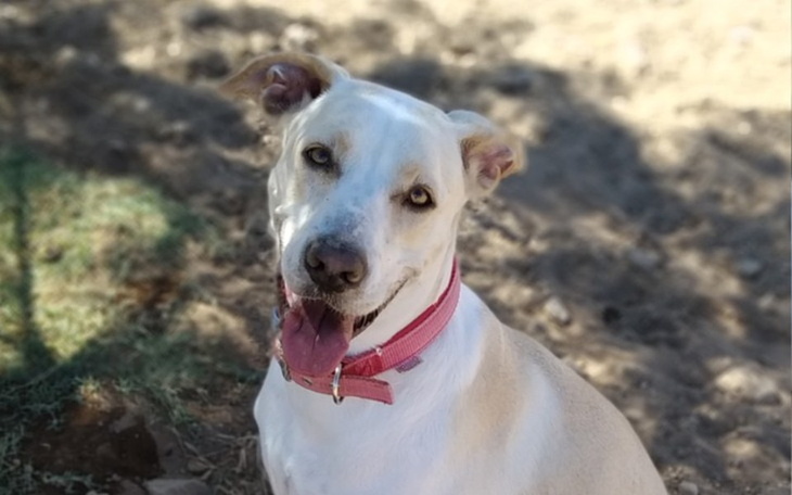 Zbiórka Moja podróż do Polski - zdjęcie główne