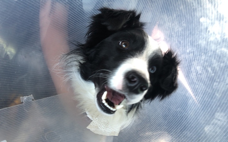 Zbiórka Nerko - zdjęcie główne