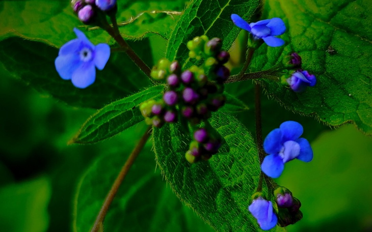 Zbiórka Takie na farta - zdjęcie główne