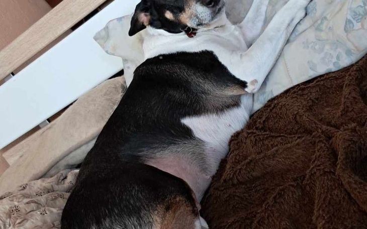 Zbiórka Na leczenie naszej wojowniczki - zdjęcie główne