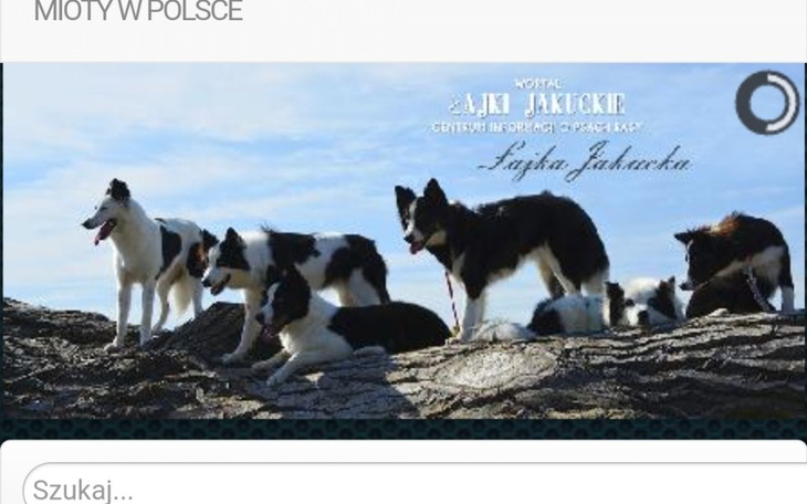 Zbiórka Strona lajkijakuckie.pl - zdjęcie główne