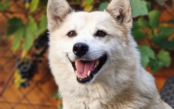 Mężczyzna na motocyklu wyścigowym na torze.