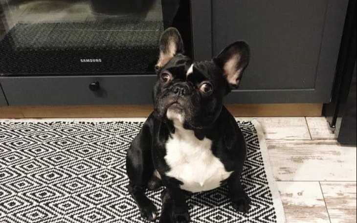 Zbiórka Na leczenie dla Dolusia. - zdjęcie główne