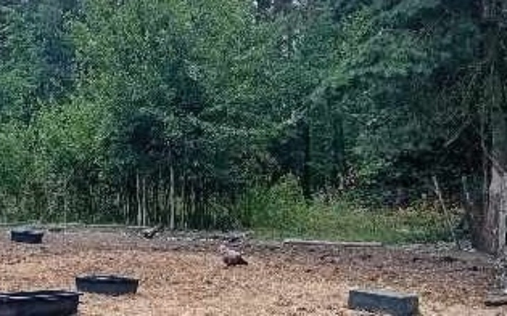 Zbiórka Stop ucieczkom -nowe ogrodzenie - zdjęcie główne