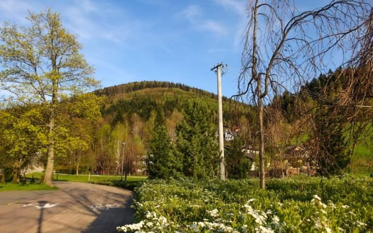 Zbiórka Na ocalenie rodzinnego domu - zdjęcie główne