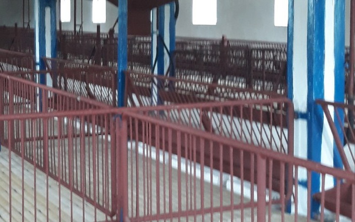 Zbiórka Ratunek polskich tucznikow - zdjęcie główne