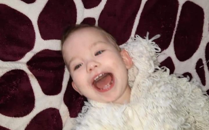 Zbiórka Domowe święta z choinką - zdjęcie główne