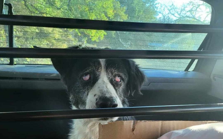 Zbiórka Na zapłatę za nadzieję - zdjęcie główne