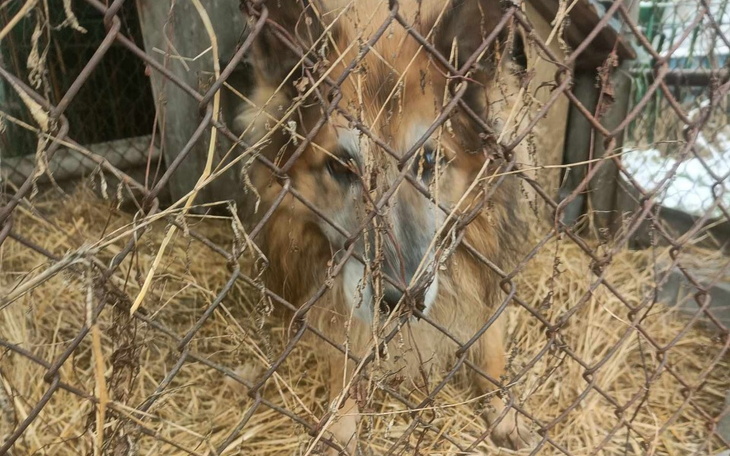 Zbiórka Cezar umierał za życia - zdjęcie główne