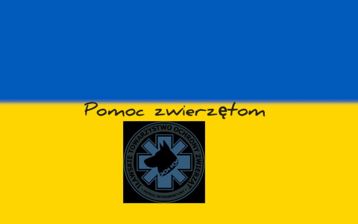 Zbiórka Ukraina na pomoc zwierzętom - zdjęcie główne