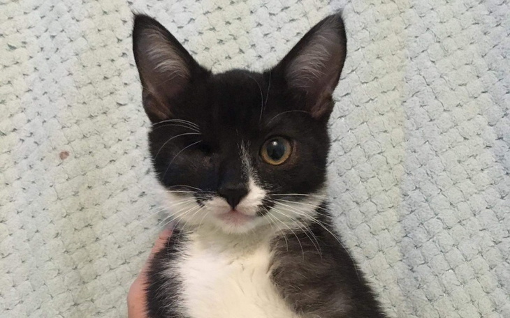 Zbiórka Bardzo chce żyć - zdjęcie główne