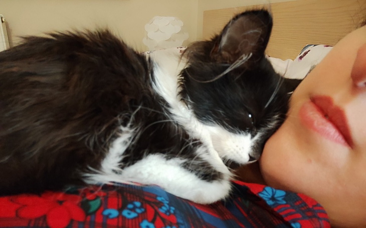 Zbiórka Dante - wędrówka po zdrowie - zdjęcie główne