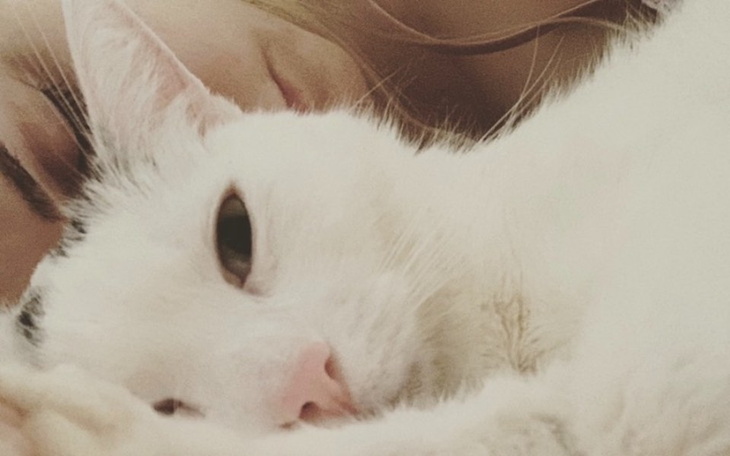 Zbiórka Pomoc Miśkowi - zdjęcie główne