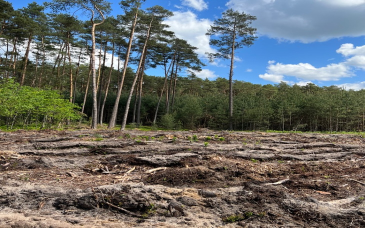 Zbiórka Pomoc na lepsze jutro3 - zdjęcie główne