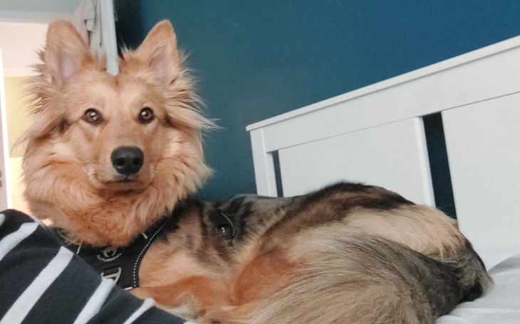 Zbiórka Na głupią sukę - zdjęcie główne