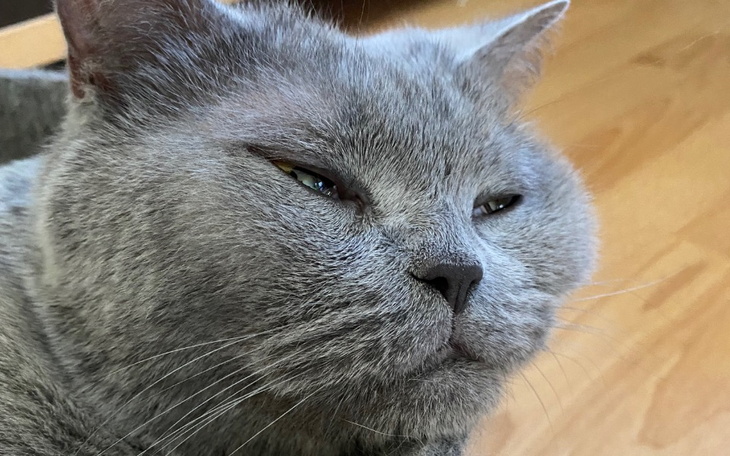 Zbiórka Dalsze leczenie Saszy - zdjęcie główne