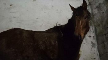 Zbiórka Miga chcialaby tylko zyć - miniaturka zdjęcia