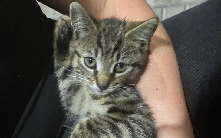 Zbiórka Na operację dla małego Rysia - zdjęcie główne