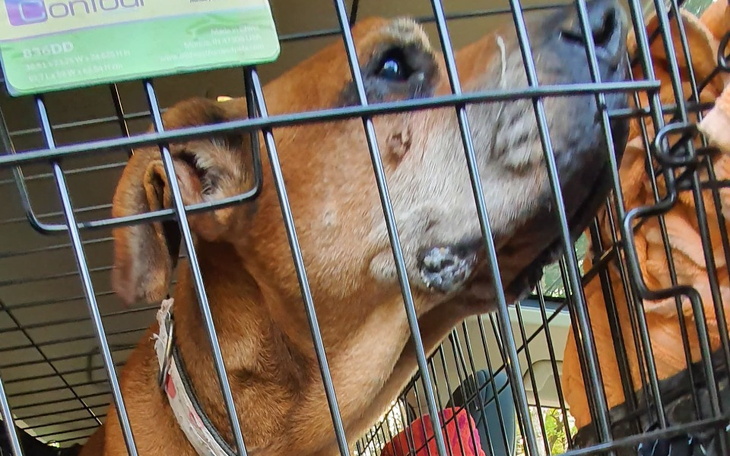 Zbiórka Chory dziadek w potrzebie - zdjęcie główne