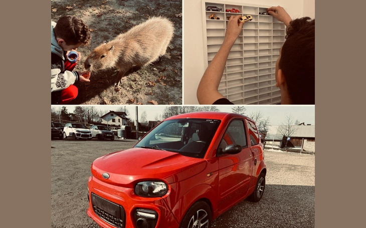 Chłopak karmi kapibary i bawi się zabawkami.