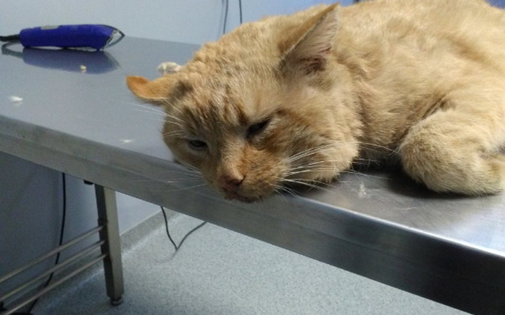 Zbiórka Rudy odszedł za TM - zdjęcie główne