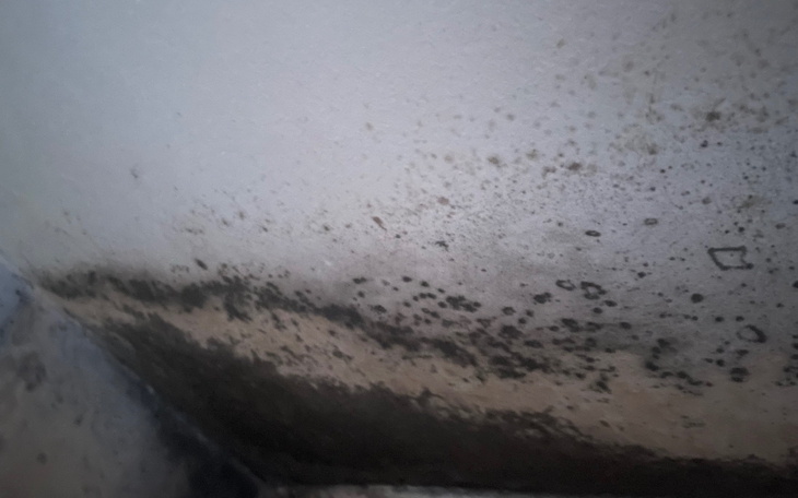 Zabrudzone ściany z pleśnią w kącie pomieszczenia.