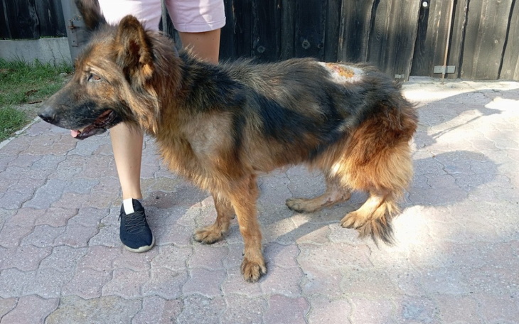 Zbiórka Kolba - wyrzucona jak przedmiot - zdjęcie główne