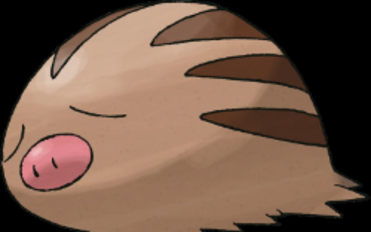 Zbiórka Leczenie i rehabilitacja Zuchy - zdjęcie główne