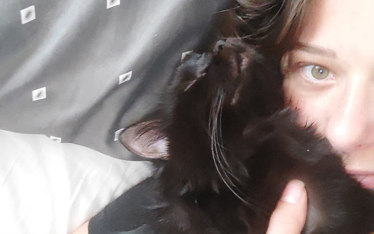 Zbiórka Kocia kocia , kolejna walka - zdjęcie główne