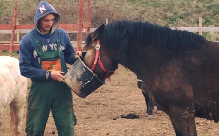 Zbiórka Zbirka na schronisko dla zwierz - zdjęcie główne