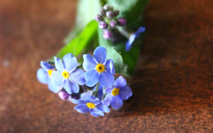 Zbiórka Uniezależnić się od przemocowca - zdjęcie główne